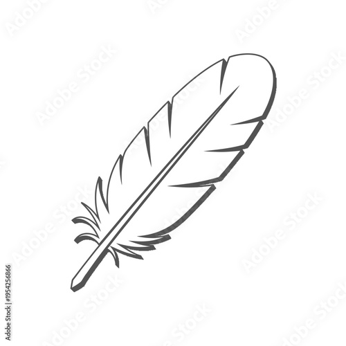 Black and white illustration of a single feather with detailed line work.