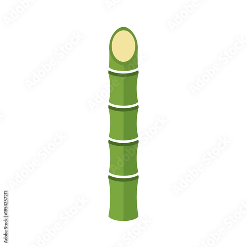 Illustrated green bamboo stalk with segmented sections and a cut top.