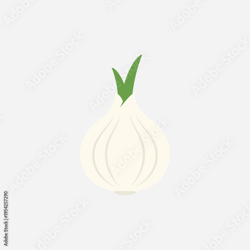 Illustration of a white onion with green sprouts on top.