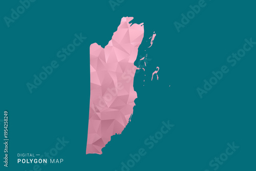 Belize polygon map vector illustration in low poly geometric style, soft pastel colors with pink and teal green tones, clean silhouette on solid background, ideal for infographic.