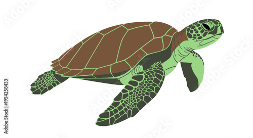 A sea turtle swims through the ocean with its flippers outstretched in a natural environment viewed from the side.