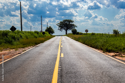 Asphalt road with yellow lines curves through the vibrant green landscape of rural Brazil under a blue sky. A concept of journey, travel, and perspective in South America's countryside.