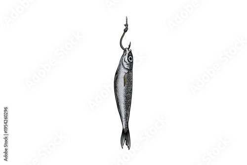 Fish on a fishing hook Illustration