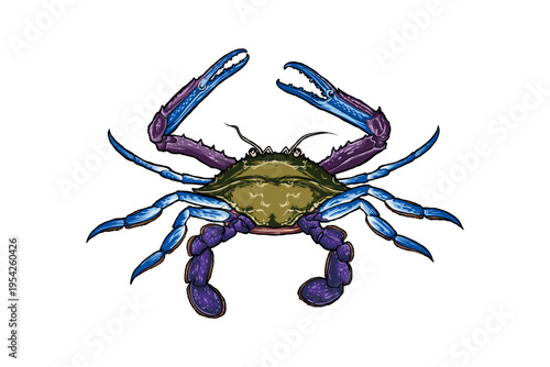 Colorful Hand-Drawn Crab Illustration
