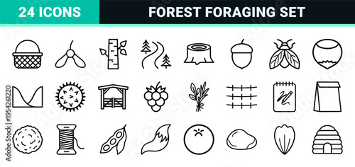Ultra-minimalist Forest Foraging Line Art Symbols for Autumn Nature Apps and Eco-friendly Brand Identity Systems with Geometric Outline Aesthetic