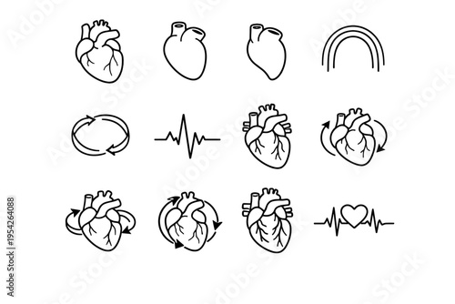 Symbol vector cue heart anatomy shape line icon rhythmic linear arch organ