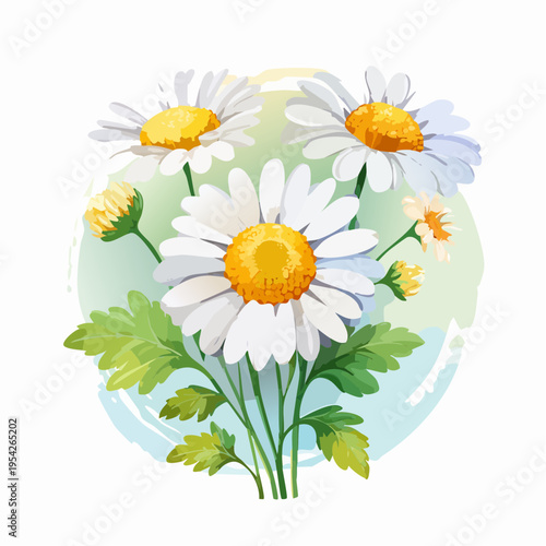 Spring flowers camomile in watercolor