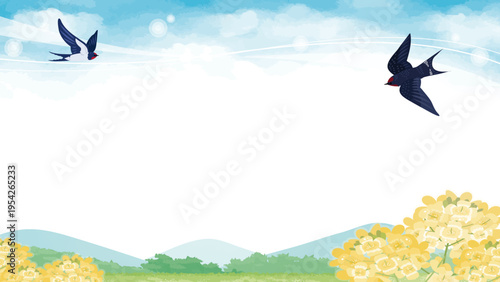 初夏の青空とツバメの背景イラスト / Swallow and Mustard Flower Spring Background