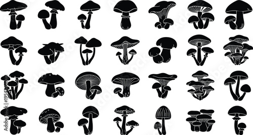 Black Mushroom Silhouettes Set Featuring Various Fungi Shapes and Forest Toadstool Icons Isolated on White Background for Organic Nature Design and Autumn Graphics