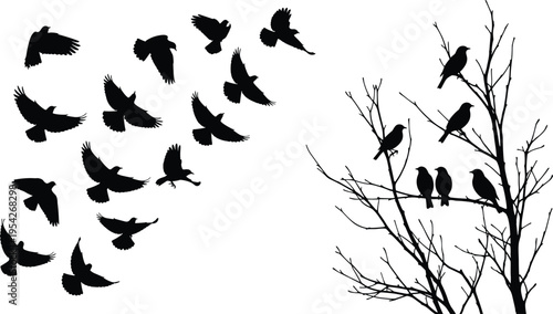 Black silhouette of a flock of birds flying in the sky and sitting on bare tree branches isolated on white background for vector design.