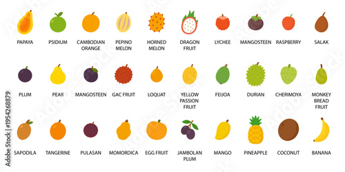 Tropical and exotic fruits icon set. Flat vector foods for kids, healthy , grocery and menu design