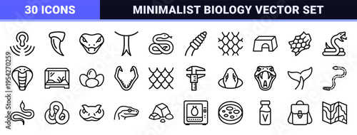Serpentology and Herpetology Line Art Symbols Featuring Minimalist Snake Anatomy, Terrarium Equipment, and Reptile Biology Research Icons.