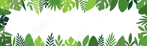 Green botanical tropical leaves frame with monstera, palm. Assorted foliage for vector design and decorative projects