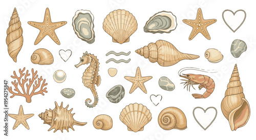 A delightful collection of assorted seashells, starfish, and aquatic elements artfully arranged, evokes the serenity and beauty of the sea in a picturesque display.