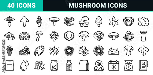 Wild Mushroom Forest Fungi Ultra-Minimalist Monoline Vector Outline Icons for Mycology Culinary and Nature Education Interface Design Assets