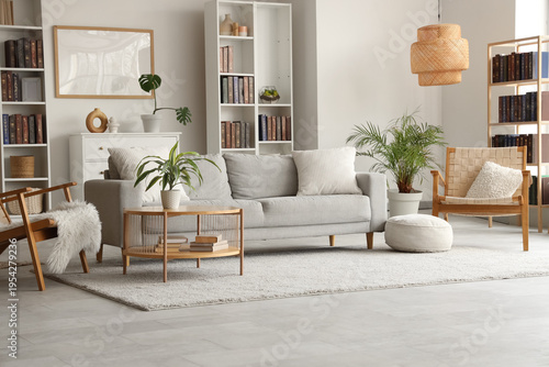 Bookcases, cozy sofa, wicke...