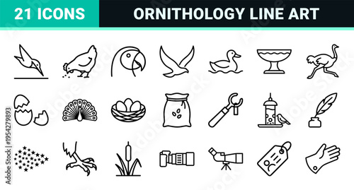 Avian Research and Birdwatching Ultra-Minimalist Monoline Icon Set featuring Geometric Line Art Symbols for Ornithology and Nature Apps