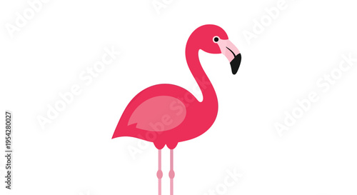 Pink Flamingo Vector Illustration, Flat Design, Tropical Bird Icon, Wildlife, Summer Vacation
