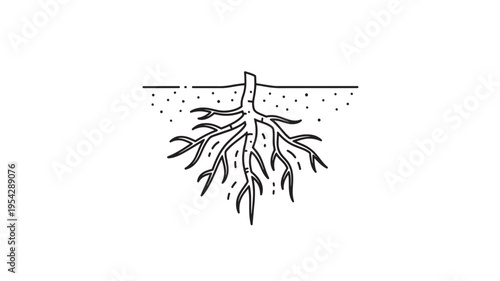 Detailed Plant Root System Illustration For Educational And Botanical Concepts