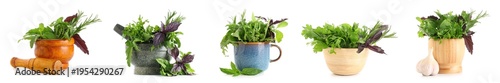 Collage of fresh herbs on w...