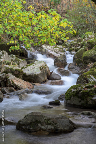Wallpaper Mural Autumn creek among mossy rocks Torontodigital.ca