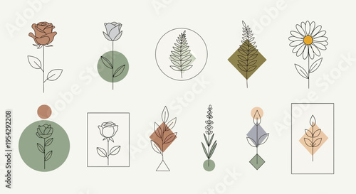 A collection of minimalist botanical illustrations.