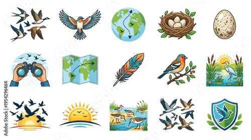 A vibrant collection of bird-themed illustrations, featuring various species, migration patterns, nests, and natural habitats, perfect for educational or wildlife-related content.