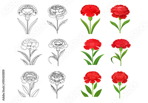 カーネーションの花のイラストセット、線画とカラーのベクター素材、母の日