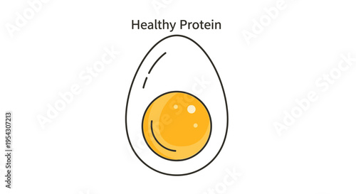 Clean vector illustration depicting a perfectly cooked egg, halved to expose its vibrant yolk and solid white, symbolizing a fundamental and healthy source of essential dietary protein
