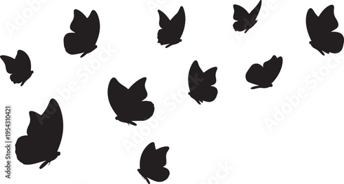 Set of 10 black butterfly silhouettes vector