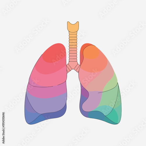 A stylized medical illustration of the lungs with the trachea