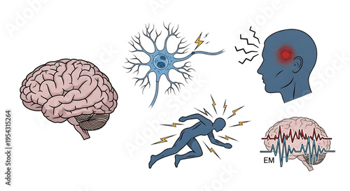 A vector graphic illustration depicting various aspects of brain function and neurological activity