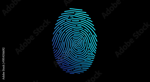 Blue fingerprint pattern on dark background for digital identity design and security visuals.