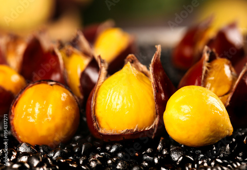 Fresh Roasted Chestnuts in Shells Studio Photography - Golden Yellow Nuts on Dark Background
