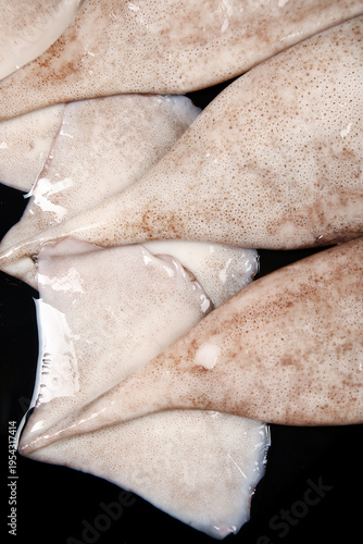 Fresh Raw Squid Seafood on Dark Background - Studio Food Photography