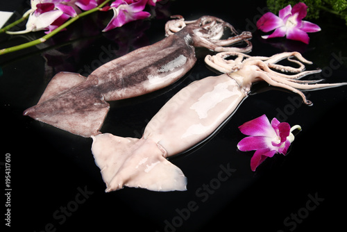 Fresh Raw Squid and Cuttlefish with Orchid Flowers Studio Food Photography
