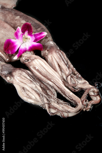 Fresh Raw Squid with Purple Orchid Garnish Studio Photography Seafood Culinary Ingredient