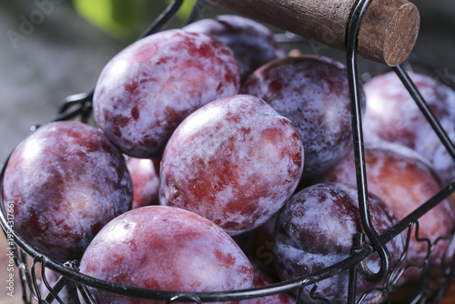 Fresh Purple Plums in Wire Basket - Healthy Organic Stone Fruit Still Life Photography