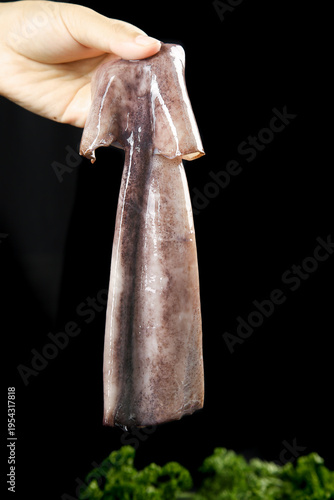 Fresh Raw Squid Seafood Held by Hand Studio Photography with Black Background and Herbs