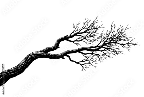 Gnarled Tree Branch Silhouette Black White Minimalist Vector Illustration