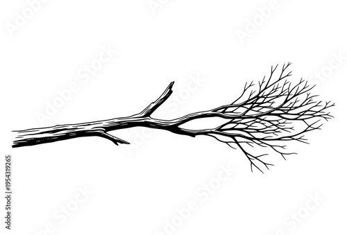 Solitary Weathered Tree Branch Silhouette Black White Vector Design