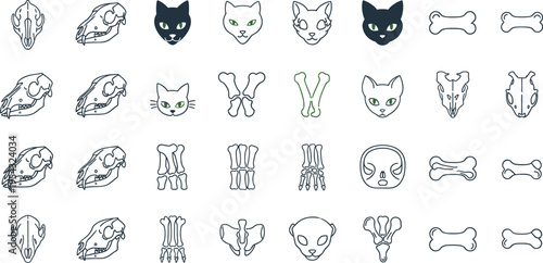 Animal skull and bone icon set featuring cat skulls paws skeleton parts and pet anatomy elements in clean outline vector illustration collection