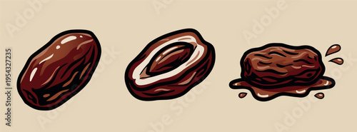Date Fruit Vector Set with Whole Cross Section and Squished Date Illustrations on Beige Background