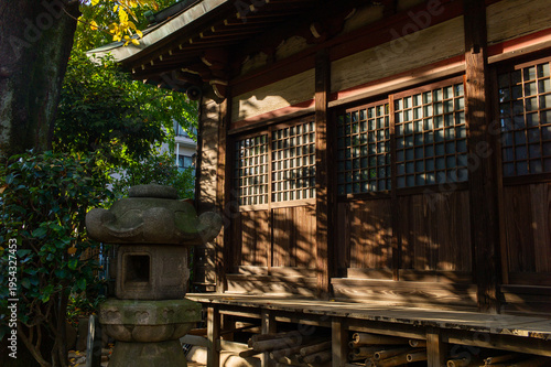 お寺の境内にさす木漏れ日