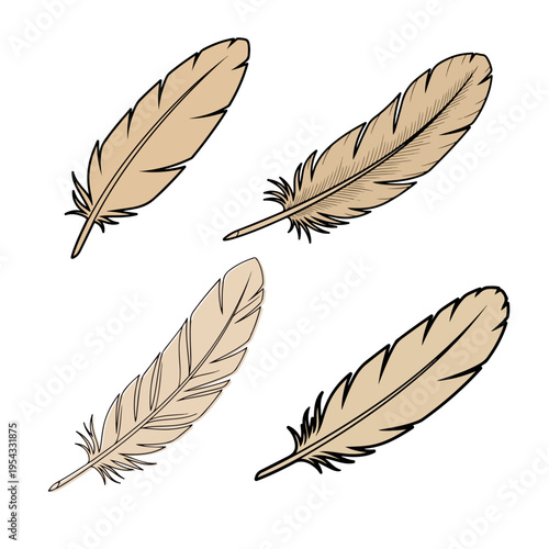 Vintage Feather Quill and Bird Plume Vector Set for Stationery Design