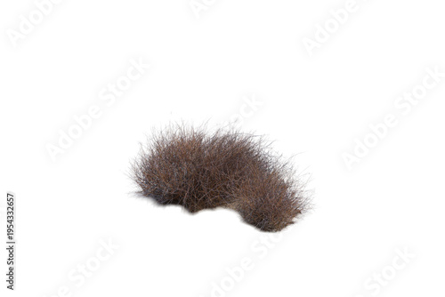 Quadro su tela Isolated Tumbleweed resting in a stark black void, representing desolation and t