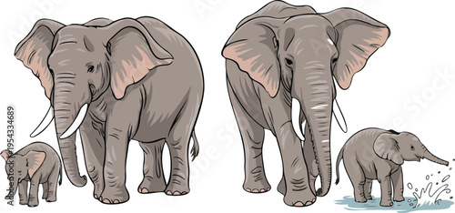 Family of elephants featuring adult elephants with their young calves walking together in natural wildlife scene vector illustration