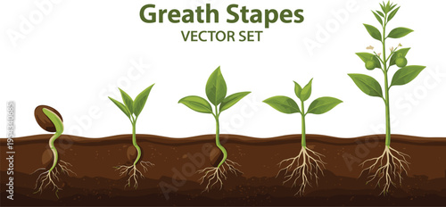 Plant Growth Stages Icon Set Featuring Seed, Germination, and Seedling Development for Gardening and Environmental Education Designs