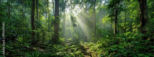 A lush forest scene with vibrant greenery and rays of sunlight filtering through the trees, creating a serene and tranquil atmosphere.