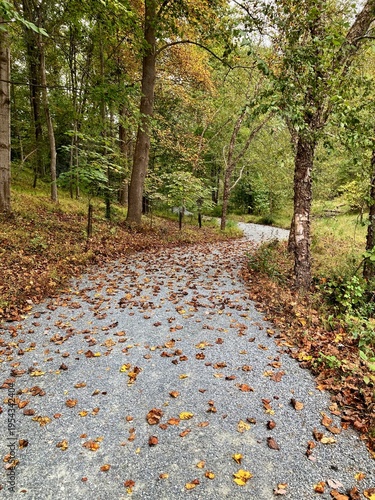 path in autumn park